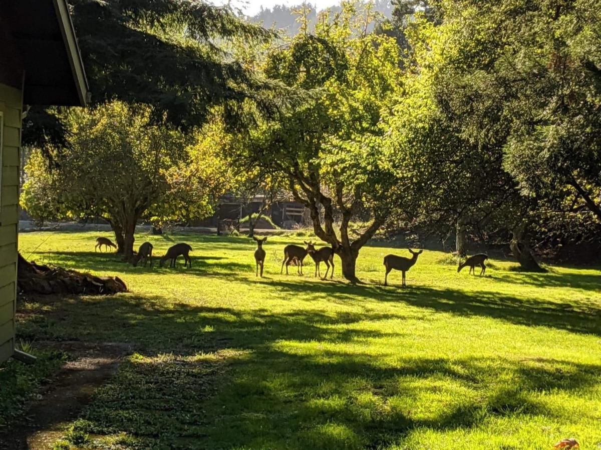 גולד ביץ' Taylor Creek Lodge מראה חיצוני תמונה